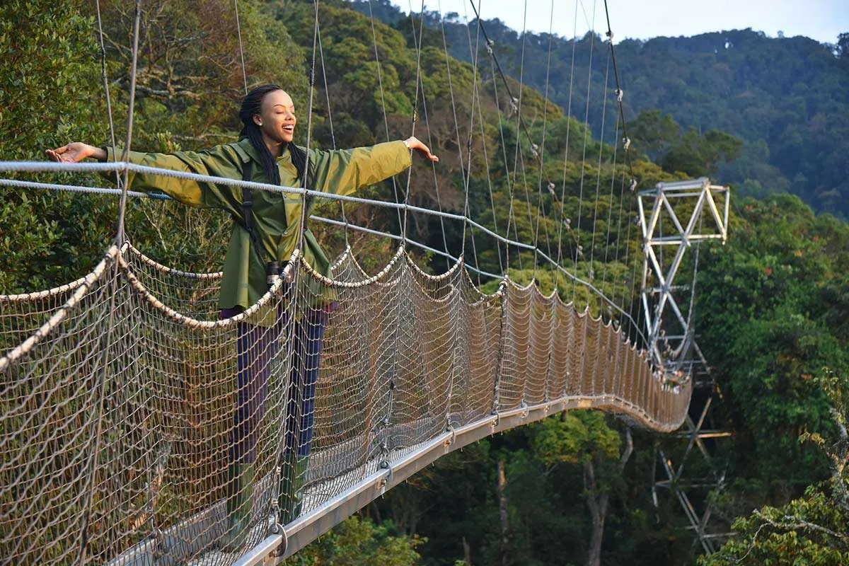 Nyungwe Forest National Park, Canopy Walk and chimpanzee trekking destination in Rwanda