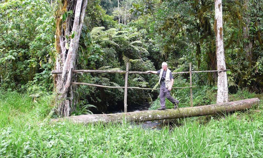Vegetation and plants in Bwindi Impenetrable National Park