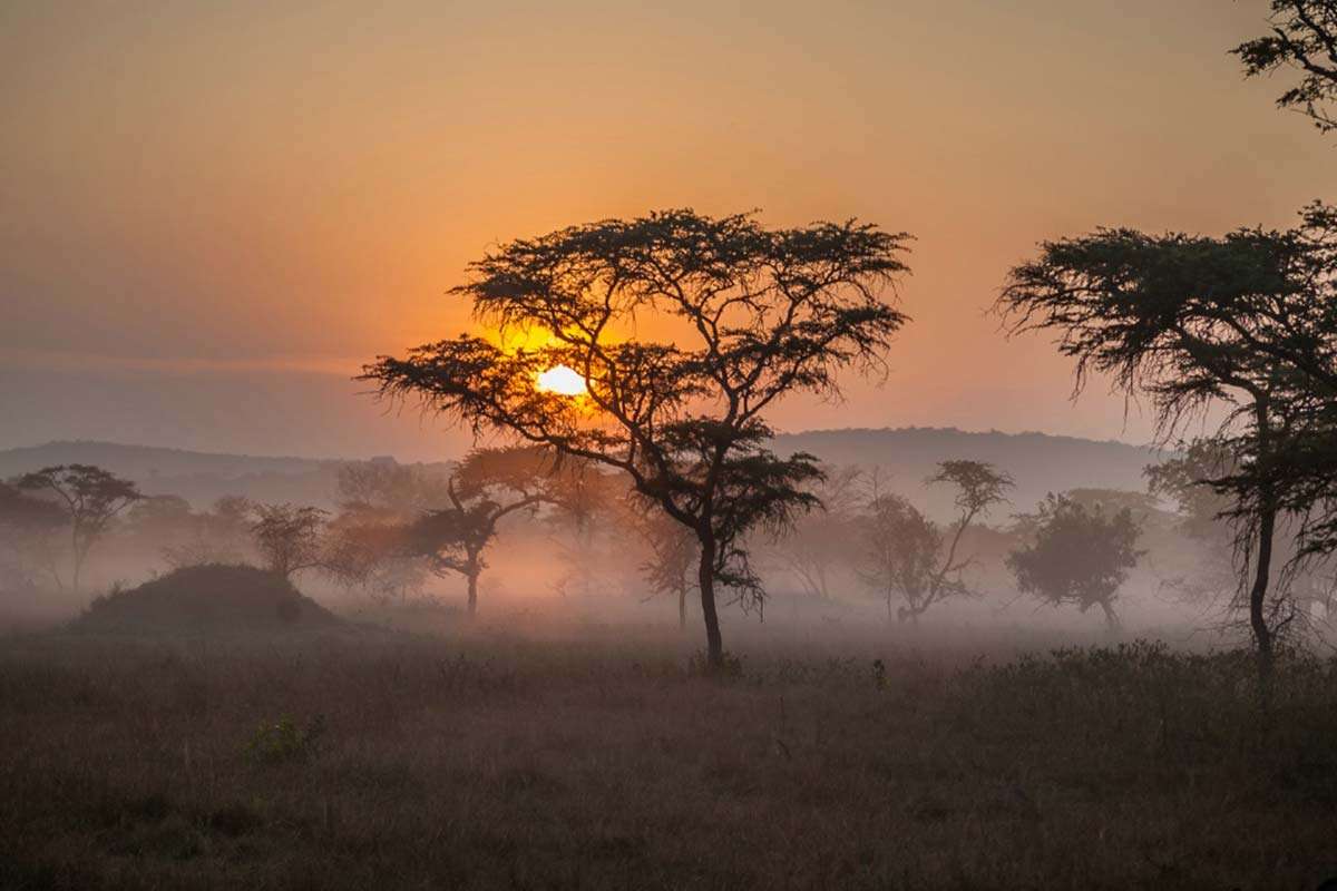 Early morning biking on Lake Mburo National Park's game trails before the boat cruise on the lake
