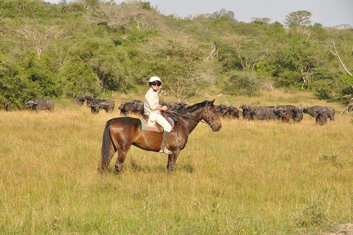 The best way to get to Lake Mburo animals is on horseback safari after the boat cruise on the lake