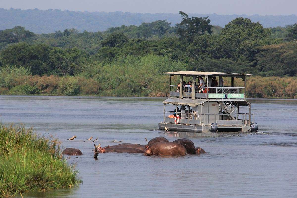 Boat safari in Murchison on the Nile