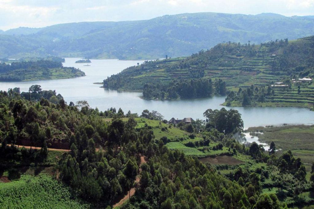 Discover Uganda's Flora and Fauna and vegetation