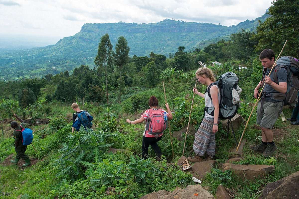 vegetation and Plants in southwestern uganda
