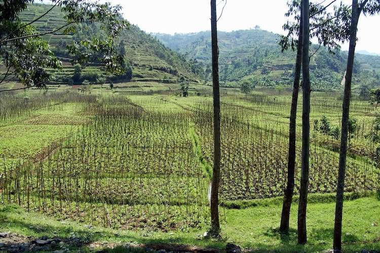 Typical Rwanda Landscape, Rwanda facts