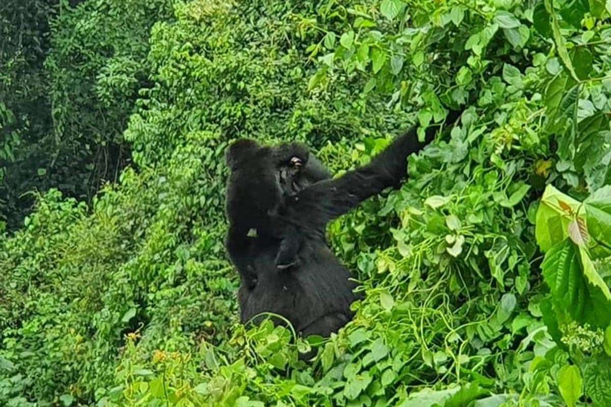Kihirwa Nkuringo Group Mother