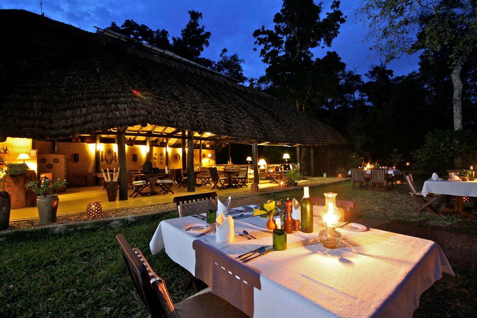 Classic Luxury Safari that doesn't break the bank at Ishasha Wilderness Camp in Queen Elizabeth National Park