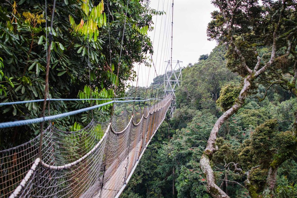 Rwanda’s Weather and Climate