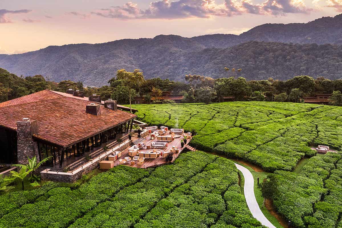 Nyungwe House, Classic Rwanda Safari