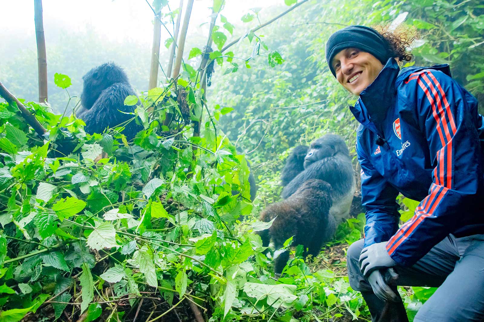 Gorilla trekking in bwindi Impenetrable Forest - Discovering Uganda and Kenya: Gorillas and Masai Mara Safari
