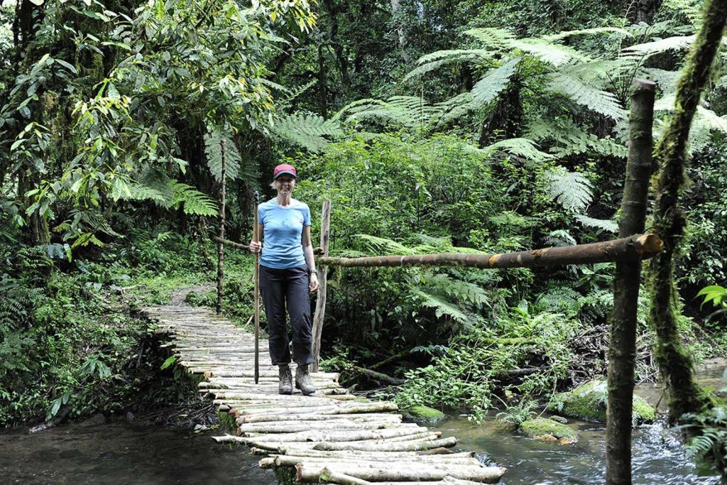 Walking Across Bwindi Impenetrable Forest on the uganda gorillas in the wild adventure