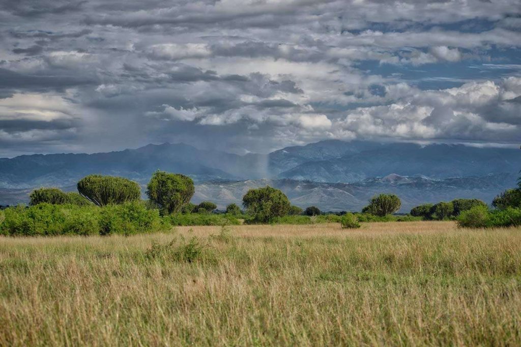 Best time for a safari trip to Uganda