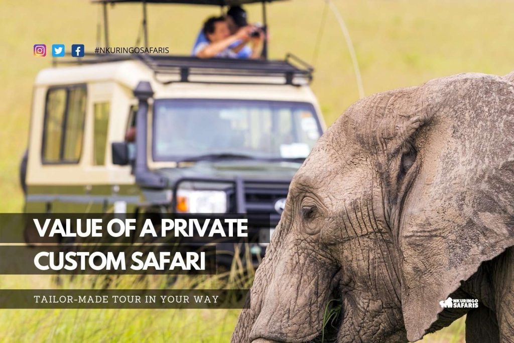 Value of a Private, Custom Safari. Tailor-made Tours