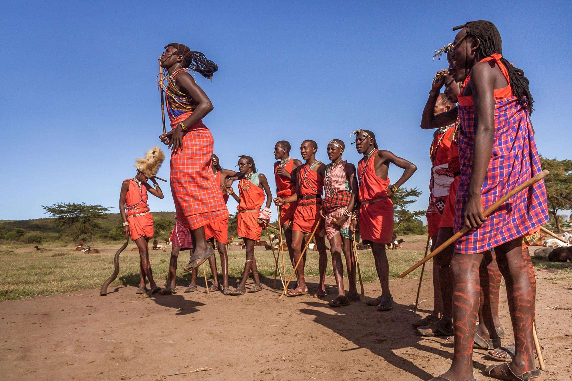 Cultural Immersion in Maasai Villages