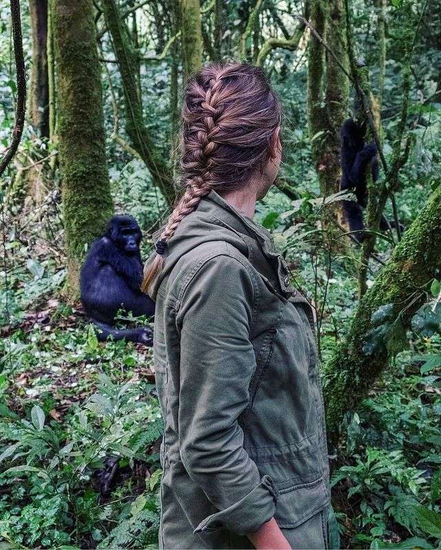 close Encounter with mountain gorillas - best time to go - A Restorative Safari Vacation in Southwestern Uganda — for Sustainable Travelers
