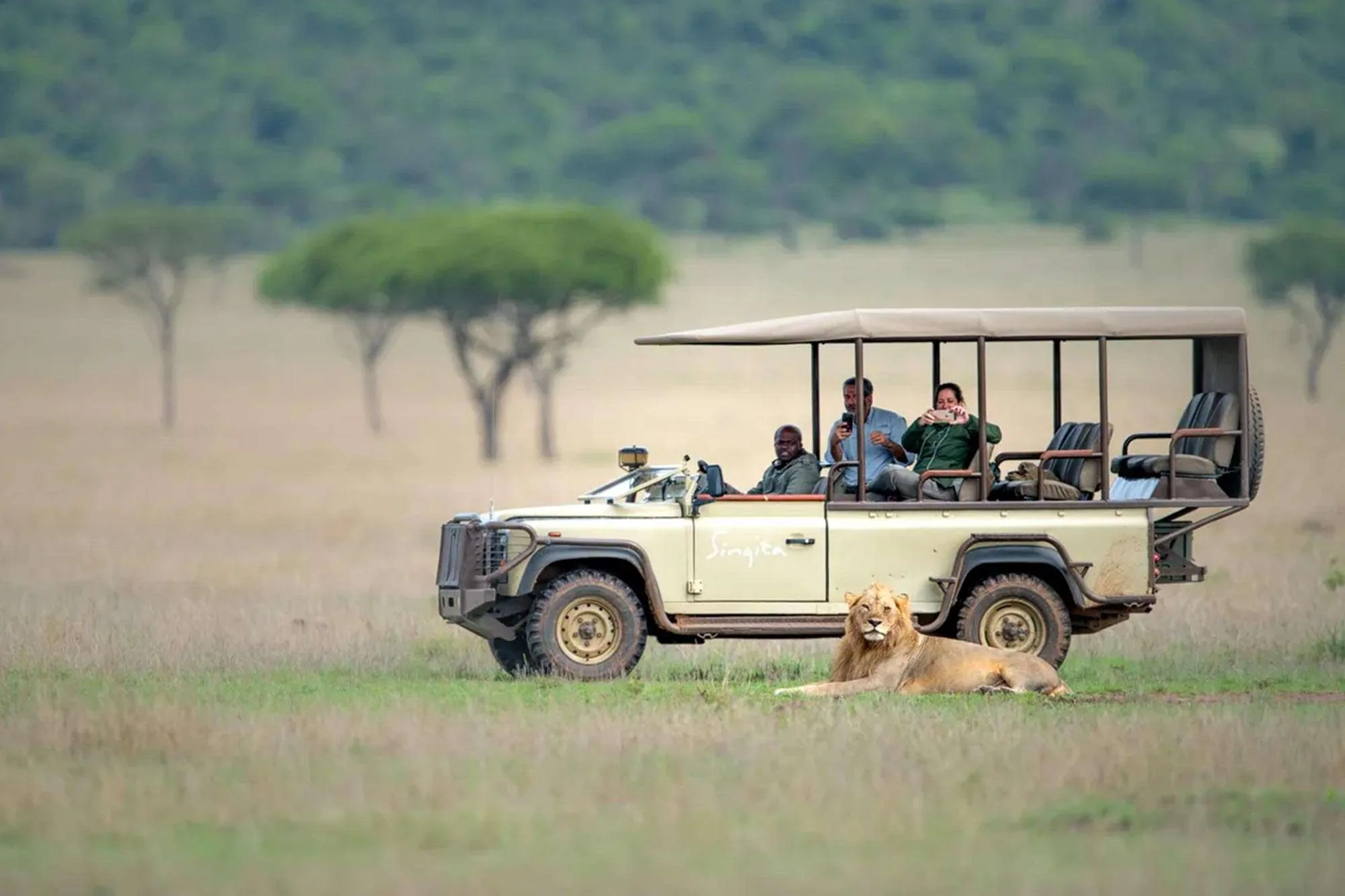 Your Dream Honeymoon Safari in the Serengeti: Where Love and Wilderness Converge