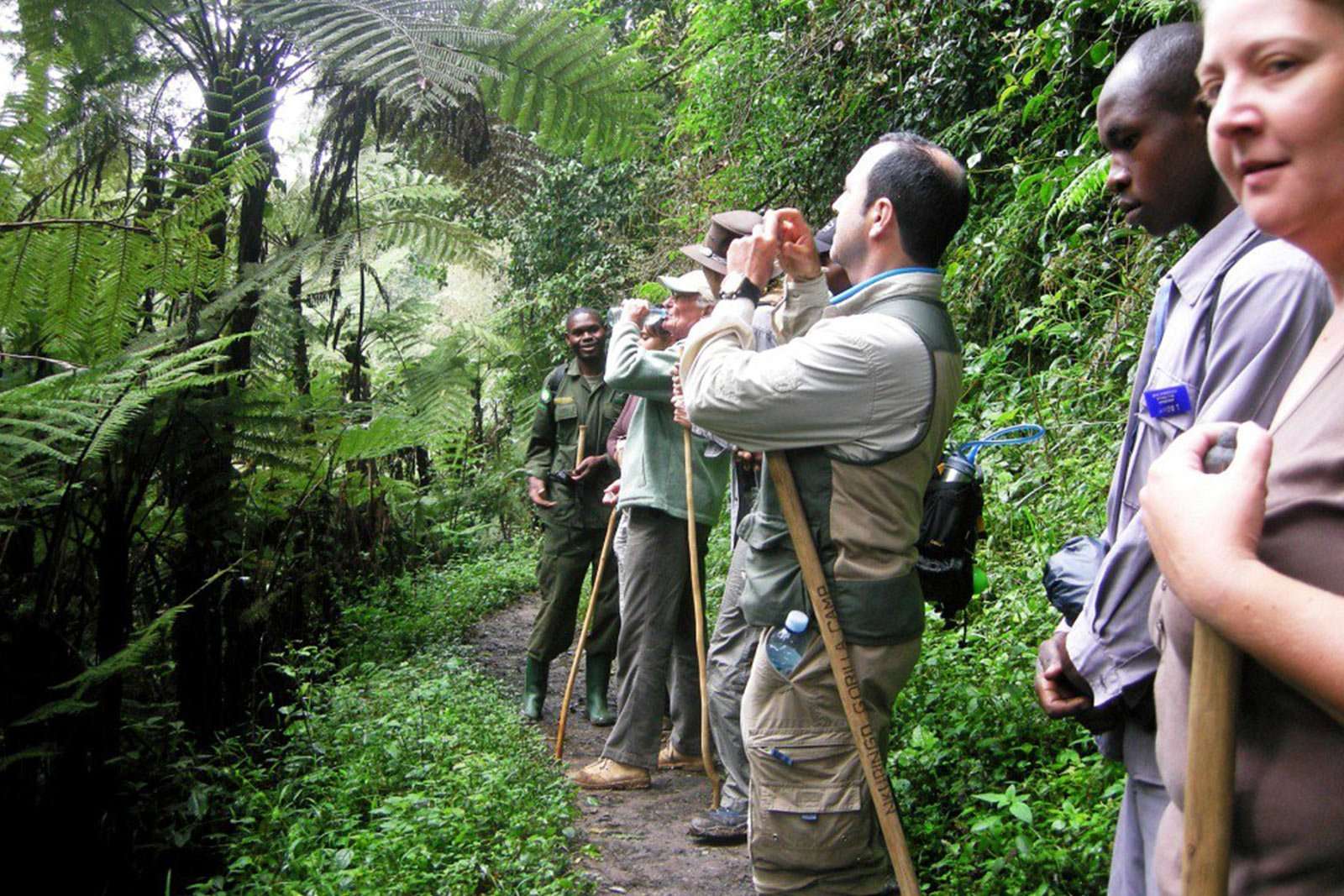 Nature hiking Experience in Bwindi - Discovering Uganda and Kenya: Gorillas and Masai Mara Safari