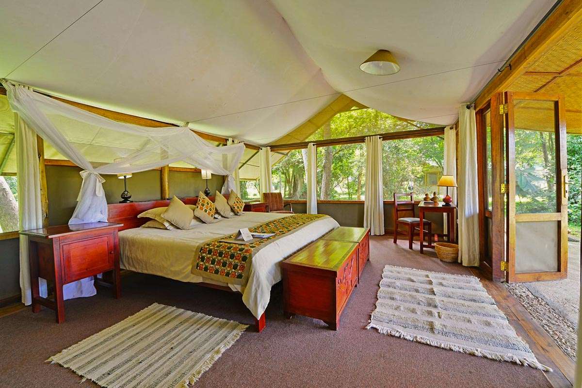 Ishasha Wilderness Camp, A-list Safari Vacation Lodges in Uganda: The Best Safari Accommodation Properties