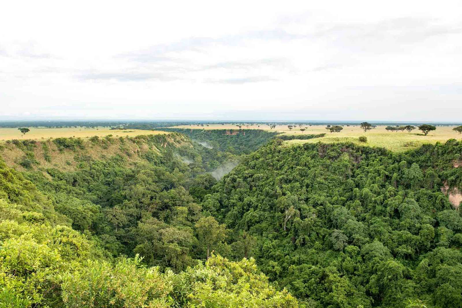 Kyambura gorge chimpanzee valley in Uganda's queen elizabeth National park
