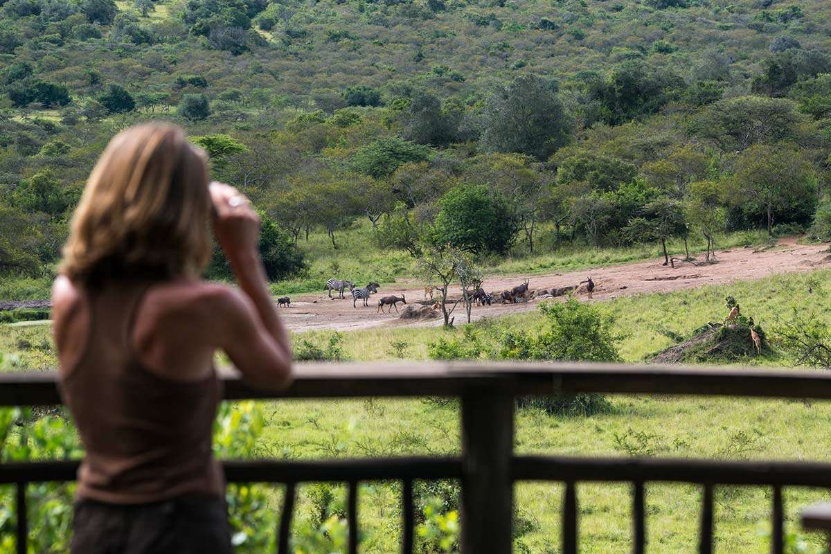 Mihingo Lodge - Wildlife Viewing from Mihingo Lodge, best place to stay for the boat cruise on lake mburo