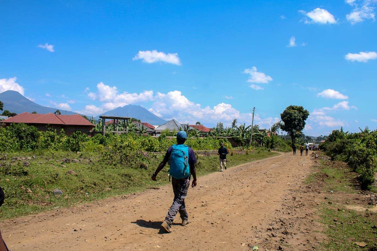 Restorative safari and walking adventure