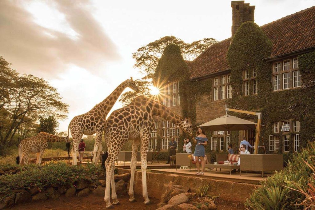 Giraffe Centre Nairobi