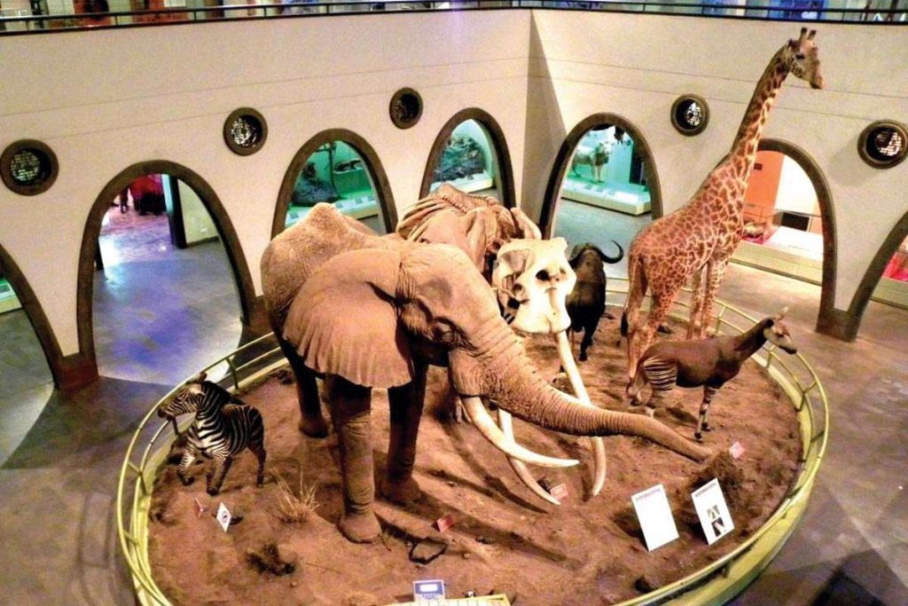 Nairobi National Museum