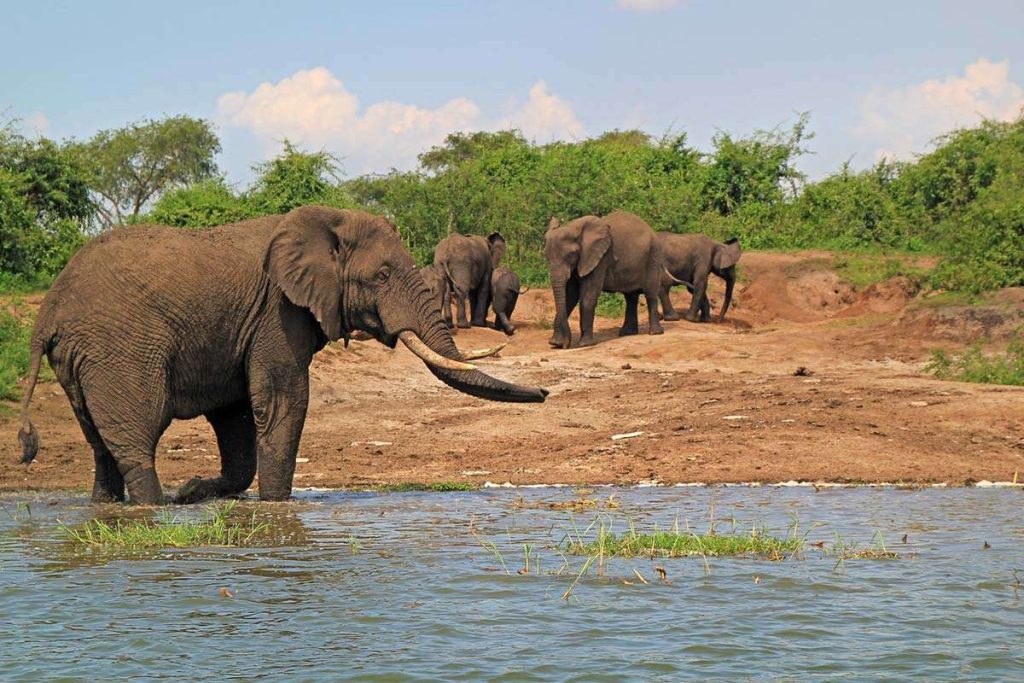 Kazinga Channel
