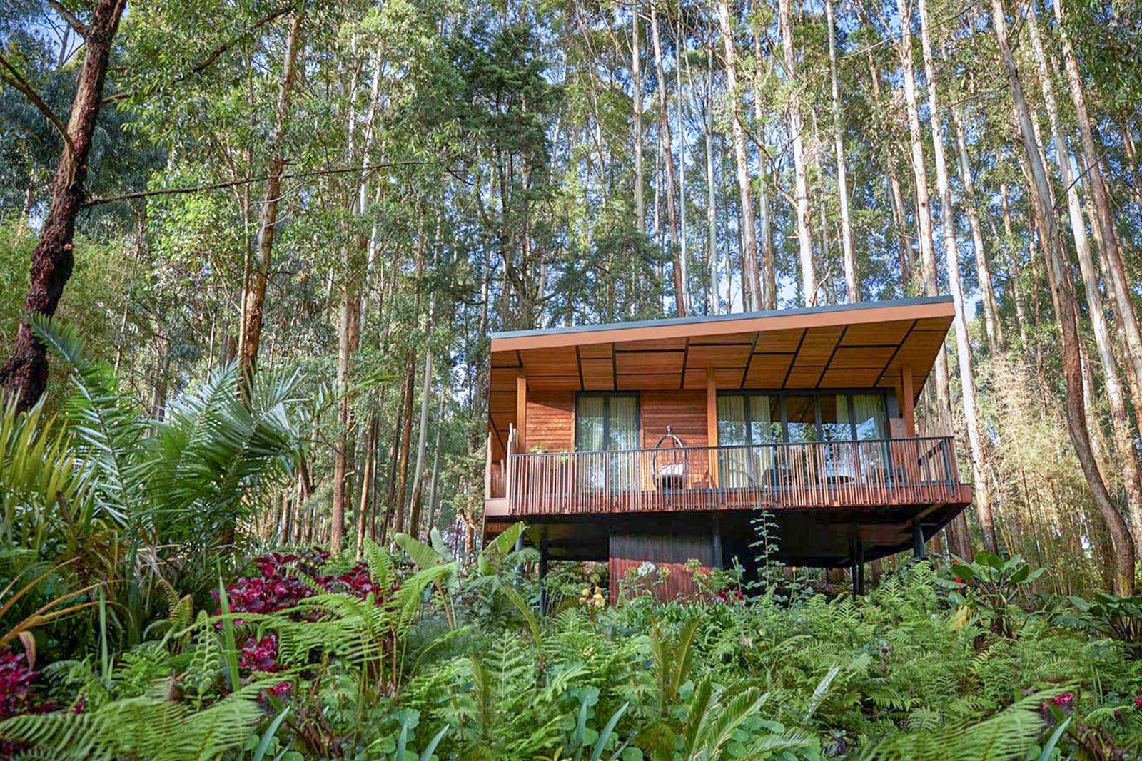 Bisate, Rwanda's most luxurious ecolodges