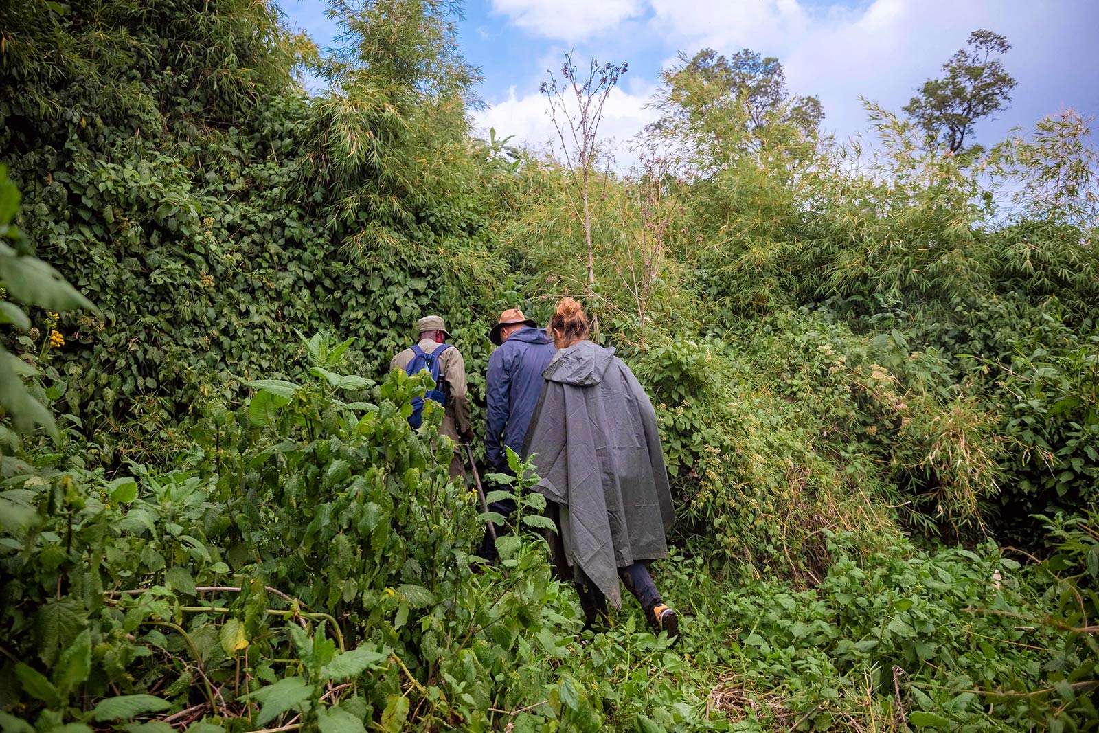 Braving the rain moments before we entered the thick gorilla jungle.