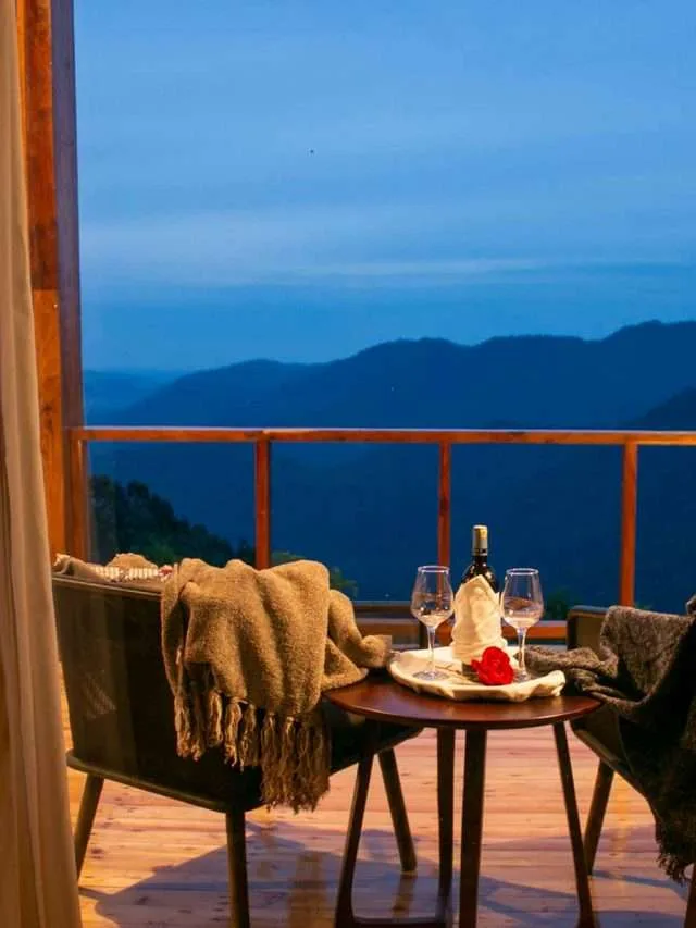 Luxury Safari In Uganda — Planning Tips for a signature safari trip