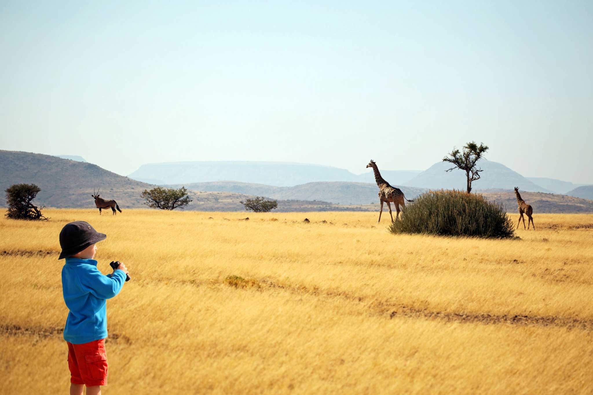 A child on safari wanting to look through binoculars to see animals