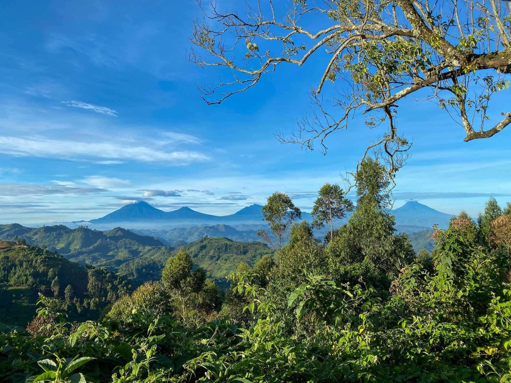 Nkuringo Bwindi Gorilla Lodge