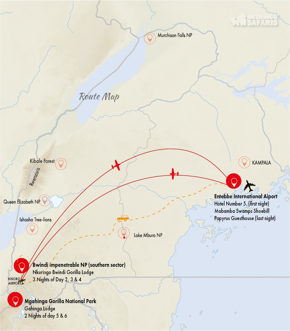 Mountian Gorillas and golden monkey trekking Safari Adventure