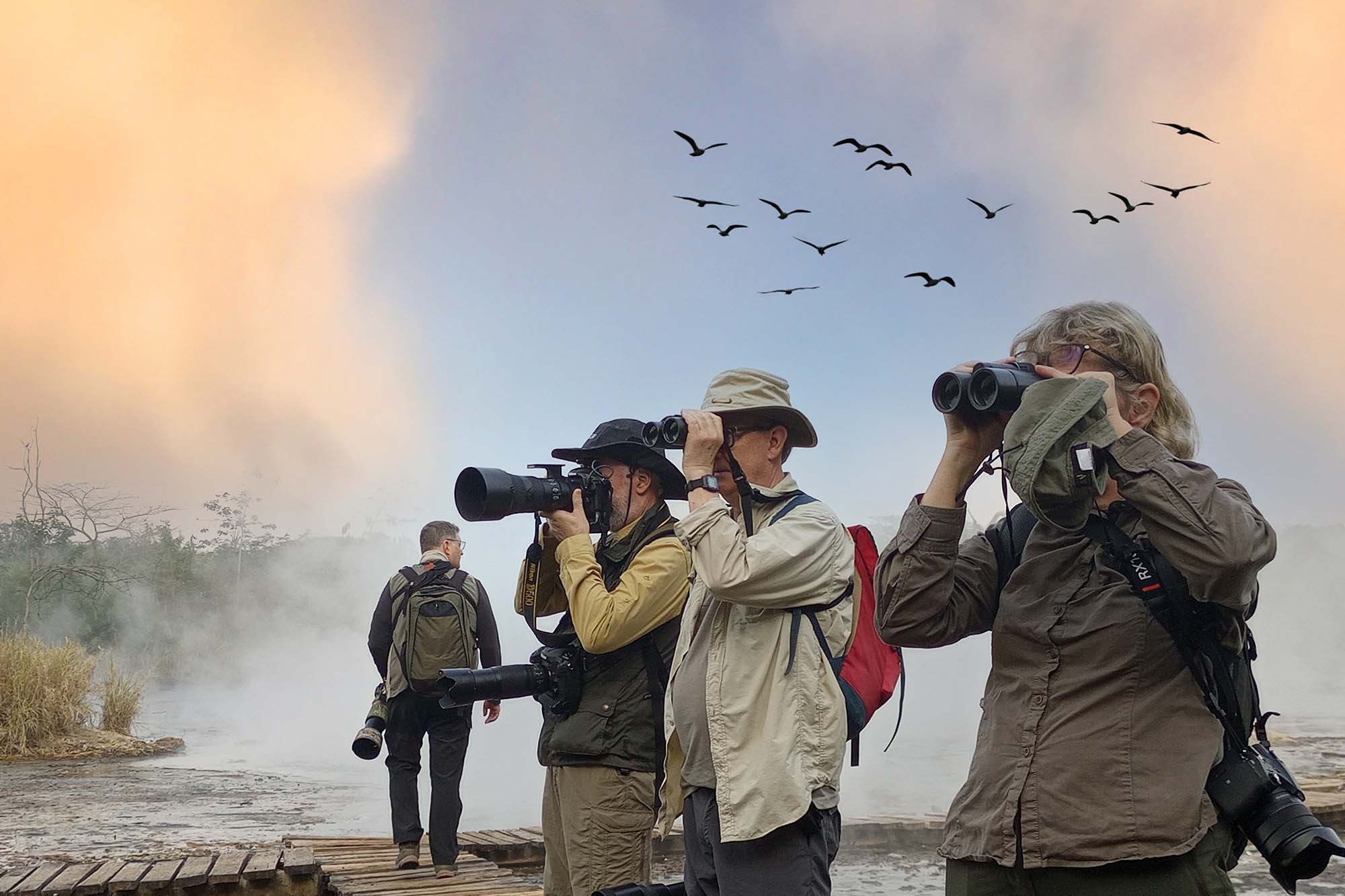 Birding Across Uganda, and Wildlife Viewing and Trekking Safari
