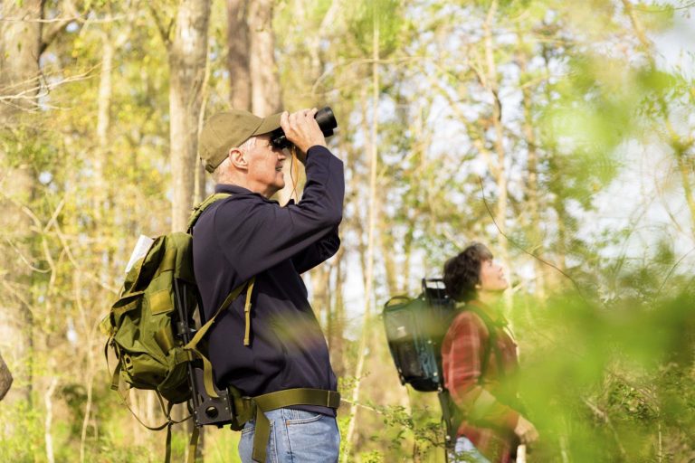 bird-watching in Uganda, best places to go birding in Uganda, East Africa