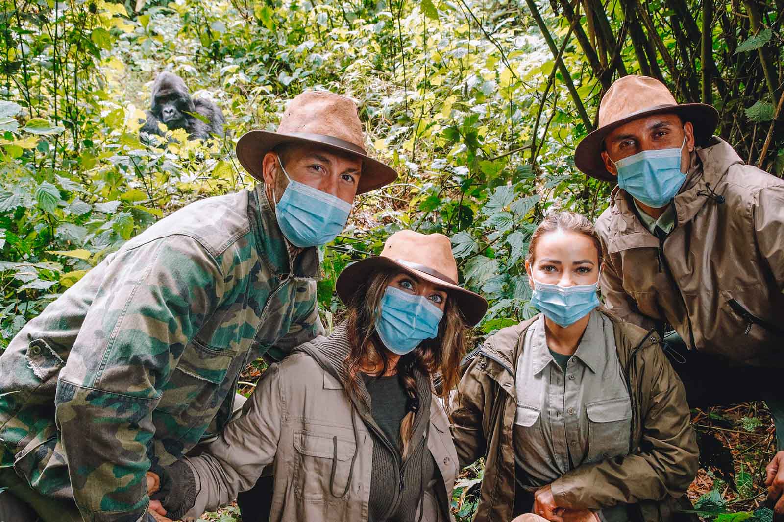 Gorilla Permit Costs