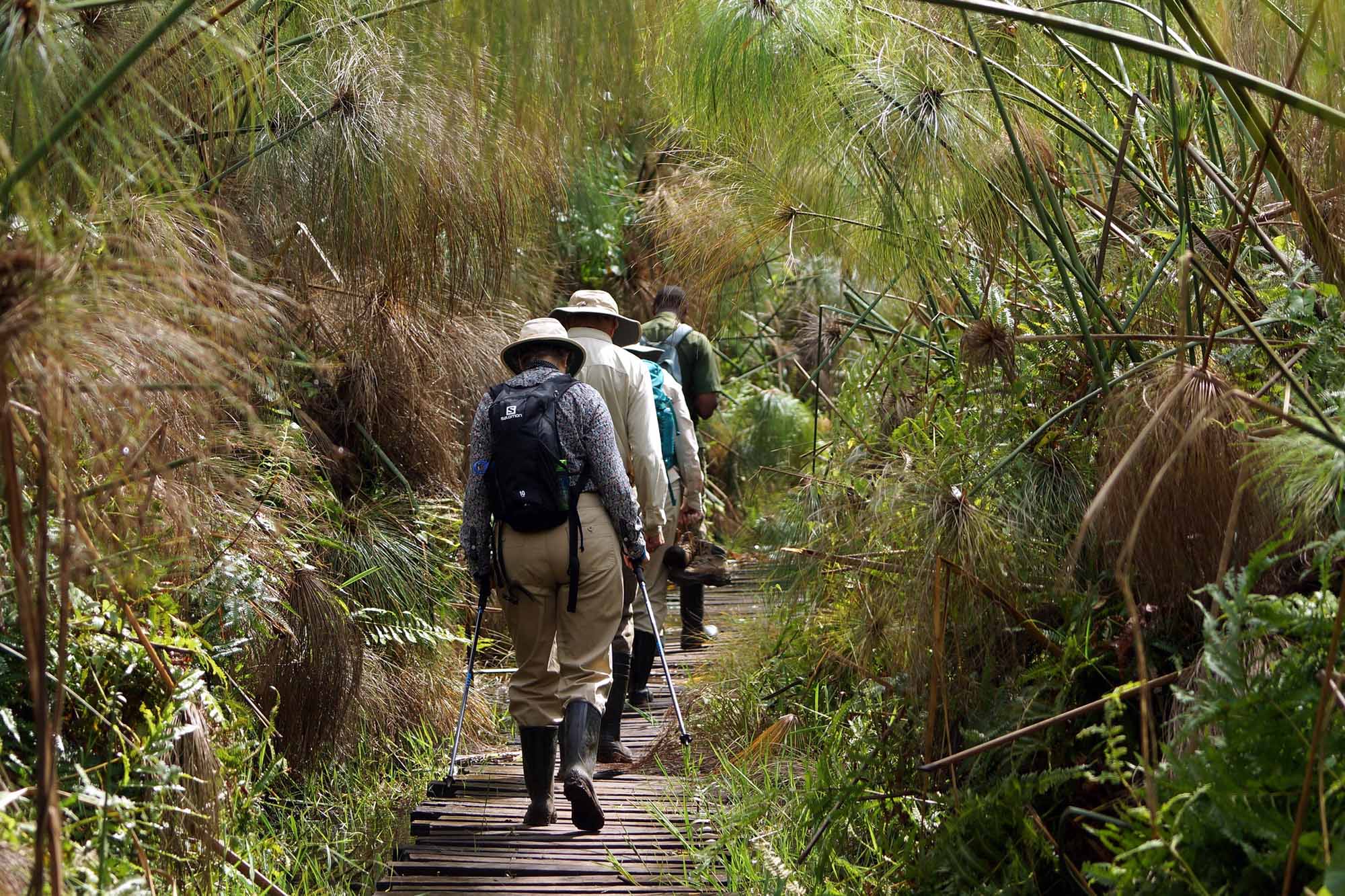 nature walks - Community & Sustainable Tourism in Bigodi