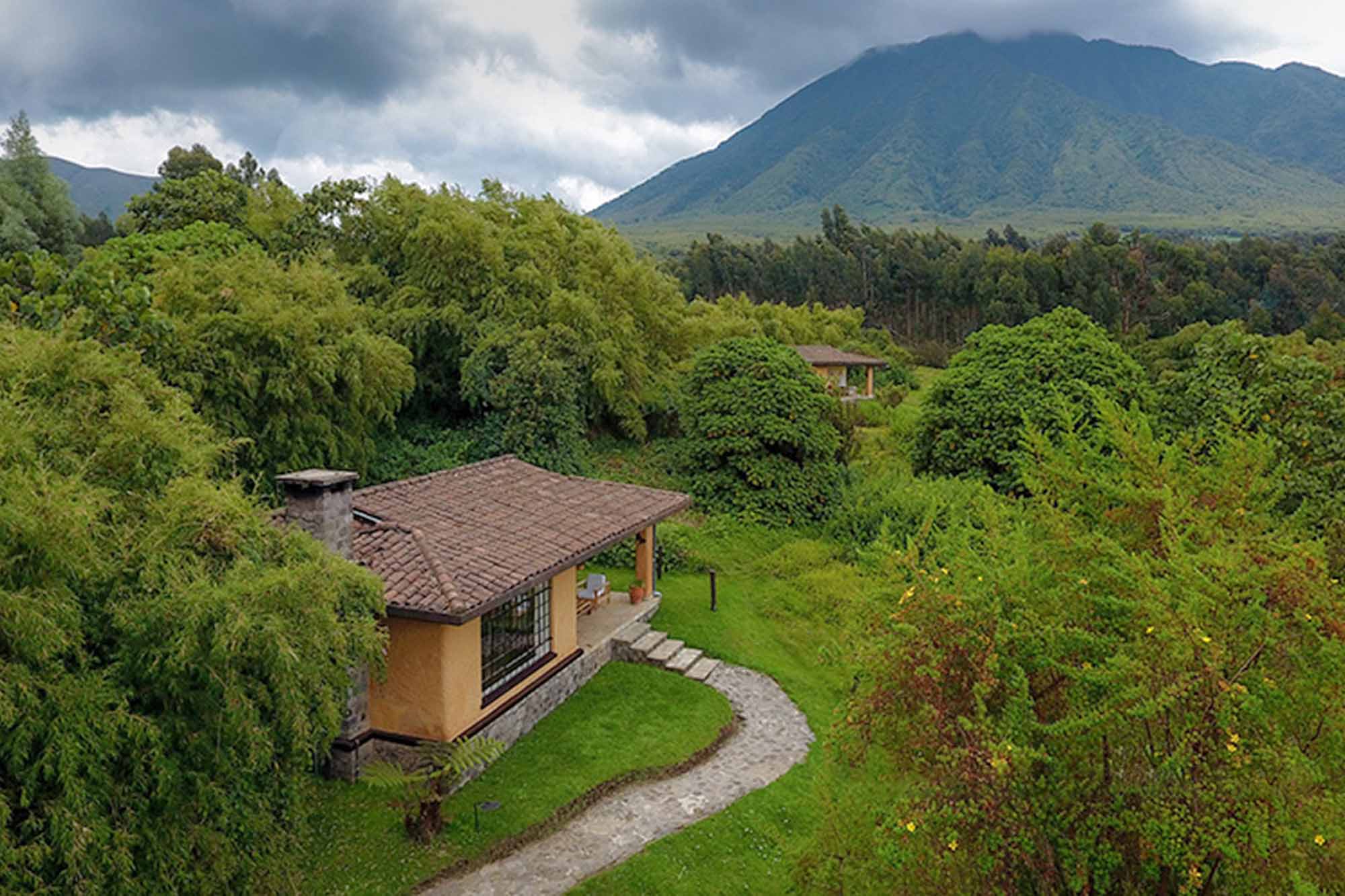 Mountain Gorilla View Lodge