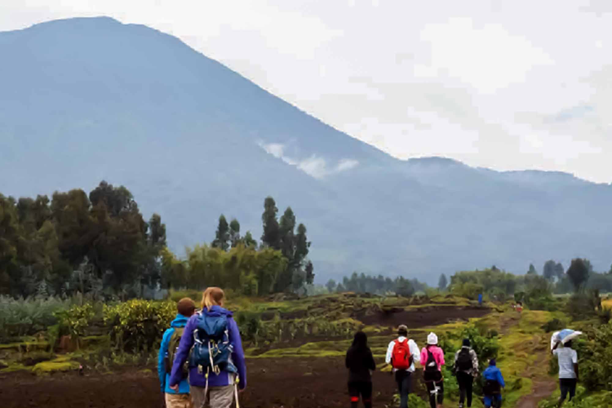 Conquering the Majestic Mount Karisimbi