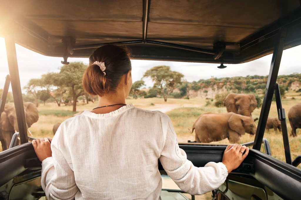 Understanding Single Supplement For Solo Travelers on African Safaris