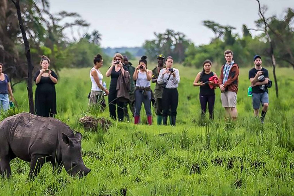 group walking safari uganda