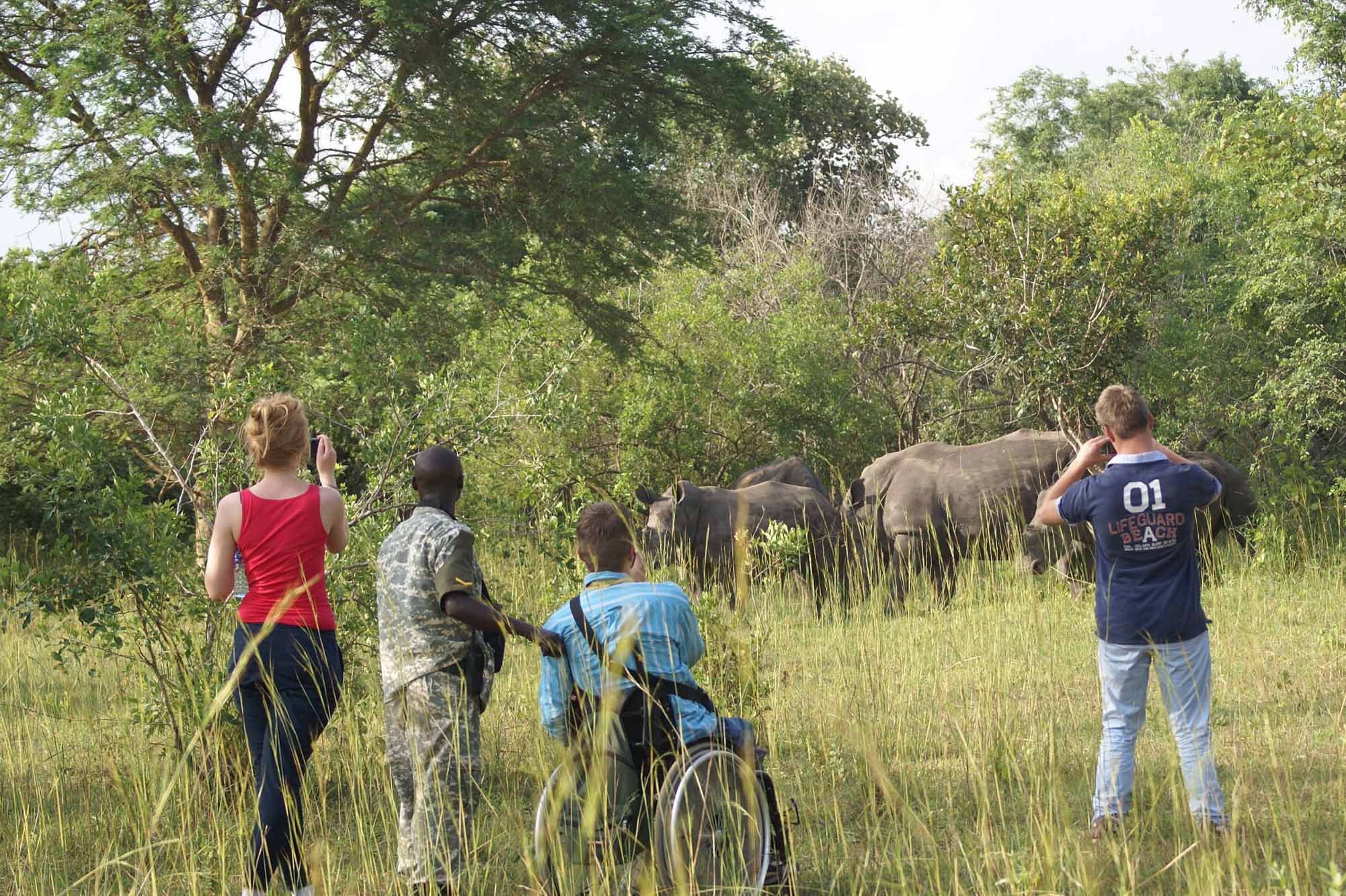 Adventures at Ziwa Rhino Sanctuary - Rhino tracking