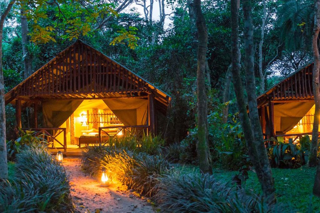 Kibale Forest Camp