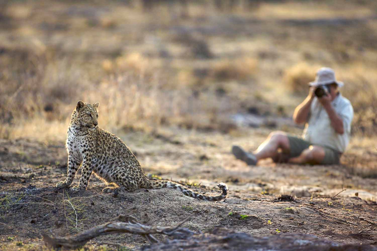 solo african safari in South Africa's Kruger National Park and Panorama Route