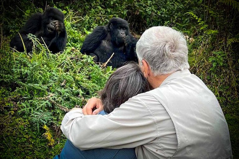 Luxury Gorilla Trekking in Uganda: A Romantic Safari for Couples