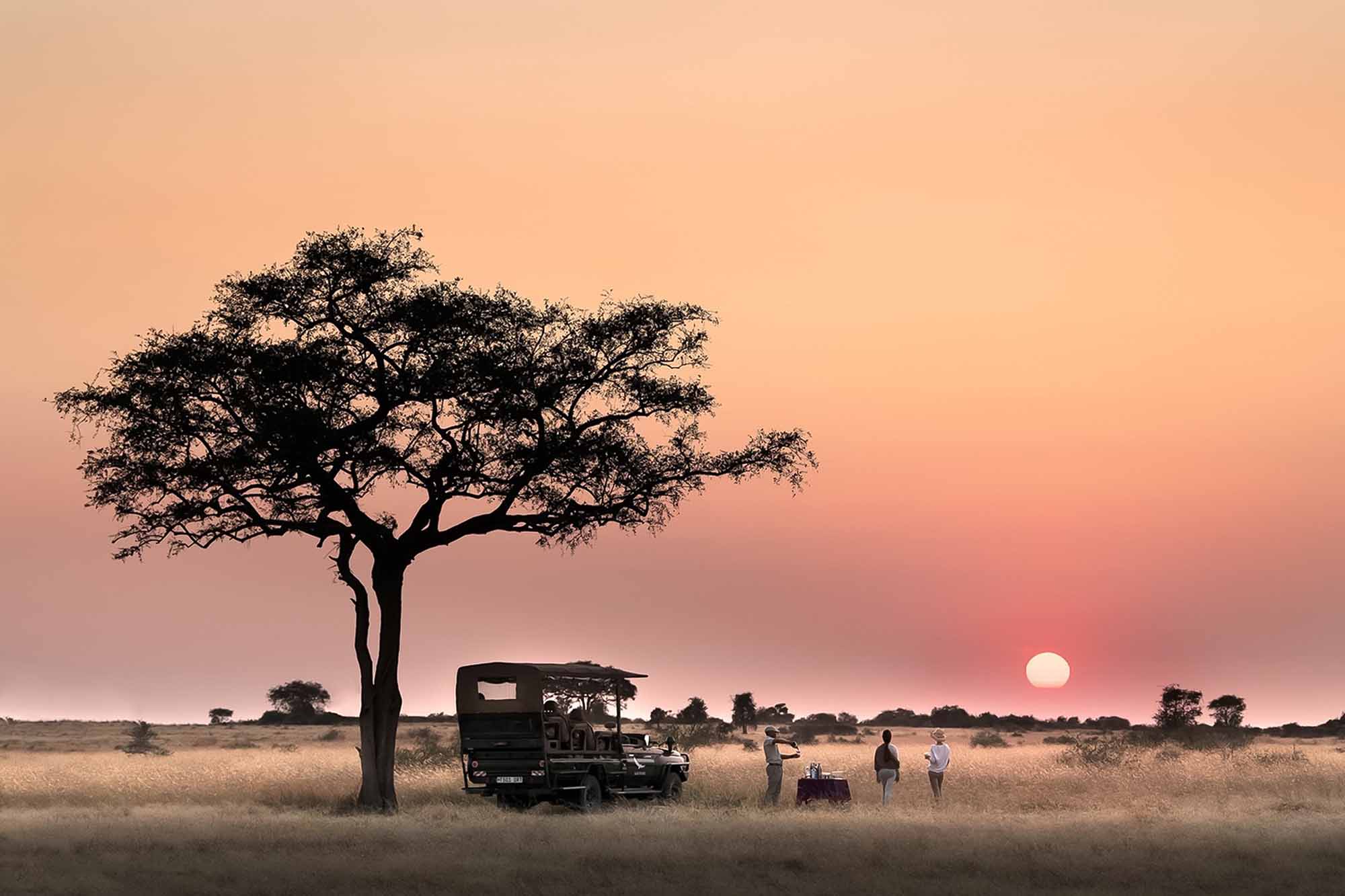 Why the Serengeti Offers Perfect African Wilderness Adventures for Honeymooners