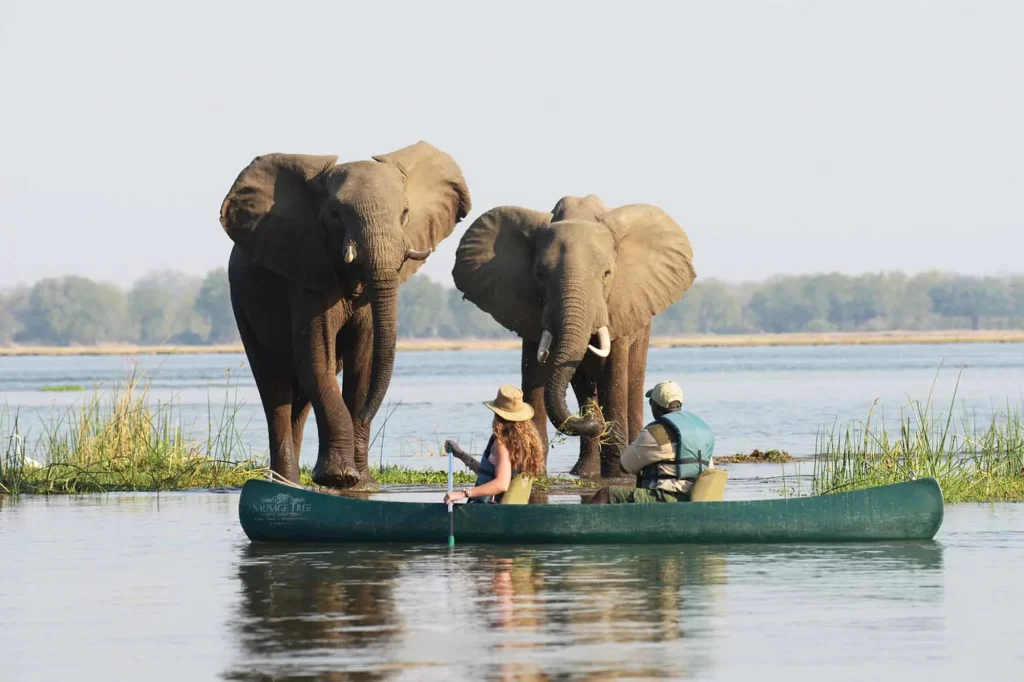 Canoe Mokoro Experience