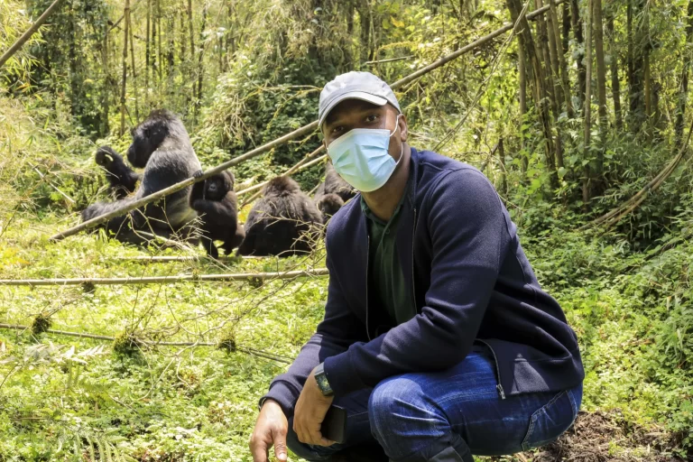 Tourist pausing next ot a gorilla family in Virunga - How to Prepare for Gorilla Trekking in Uganda and Rwanda